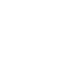 Frit Ravich